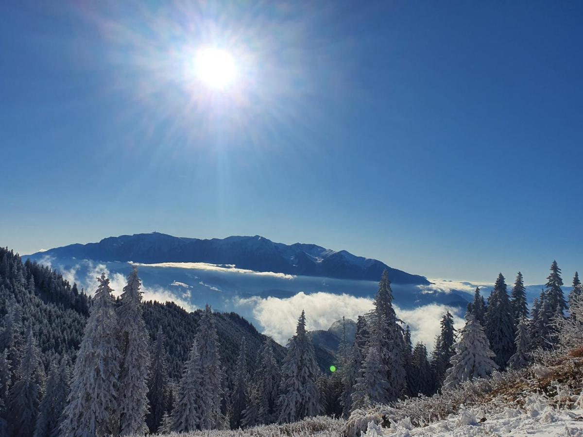 Pensiunea Casa Ober Brasov Luaran gambar